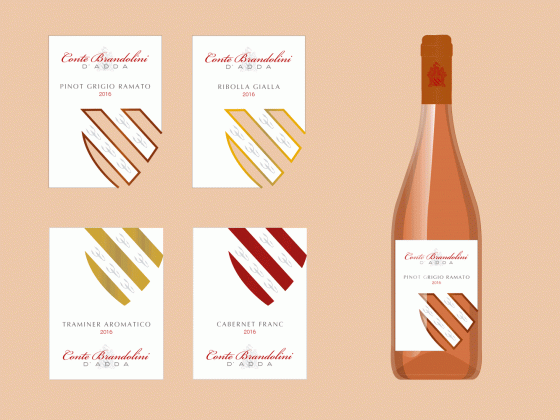 progettazione grafica per etichette vino conte brandolini